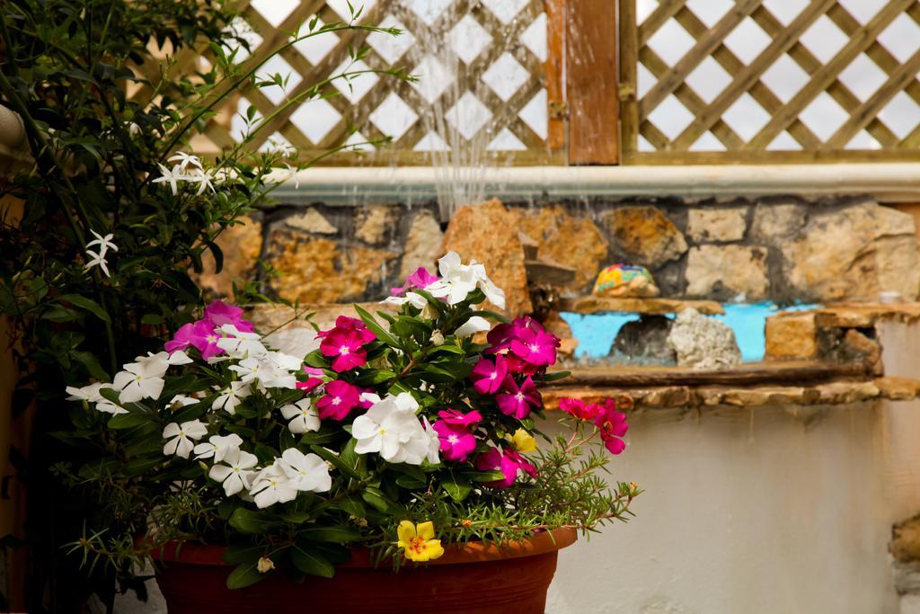 Bonjour Bed & Breakfast Morciano di Leuca Exterior foto