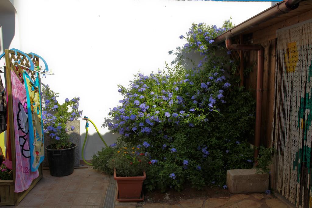 Bonjour Bed & Breakfast Morciano di Leuca Cameră foto