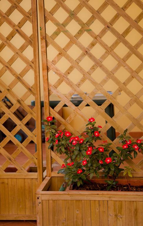 Bonjour Bed & Breakfast Morciano di Leuca Exterior foto